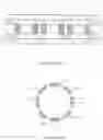 Fig. 12 - Apparatus of plural charged-particle beams