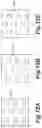 Fig. 13 - Etching method