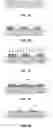 Fig. 02 - Method for transferring blocks from a donor substrate onto a receiver substrate by implanting ions in the donor substrate through a mask, bonding the donor substrate to the receiver substrate, and detaching the donor substrate along an embrittlement plane