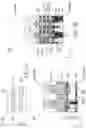 Fig. 06 - Semiconductor structure having an anchor-shaped backside via