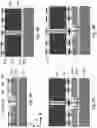 Fig. 14 - 3D semiconductor devices and structures with at least one vertical bus