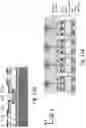 Fig. 18 - 3D semiconductor devices and structures with at least one vertical bus