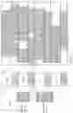 Fig. 15 - Integrated circuit with mixed row heights
