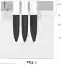 Fig. 07 - Semiconductor structures and preparation methods thereof