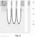 Fig. 09 - Semiconductor structures and preparation methods thereof