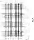 Fig. 10 - Etch method for opening a source line in flash memory