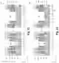 Fig. 13 - Etch method for opening a source line in flash memory