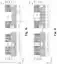 Fig. 15 - Etch method for opening a source line in flash memory