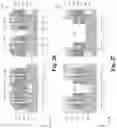 Fig. 21 - Etch method for opening a source line in flash memory