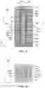 Fig. 02 - Electronic devices comprising reduced charge confinement regions in storage nodes of pillars and related methods