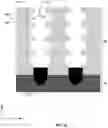 Fig. 06 - Channel structures having protruding portions in three-dimensional memory device and method for forming the same