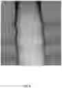 Fig. 18 - Channel structures having protruding portions in three-dimensional memory device and method for forming the same