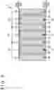 Fig. 03 - Light detecting element and method of manufacturing same
