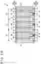 Fig. 21 - Light detecting element and method of manufacturing same