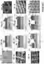 Fig. 02 - Simultaneous dual-band image sensors