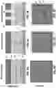 Fig. 08 - Simultaneous dual-band image sensors