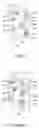 Fig. 08 - LIGHT-TRANSMITTING DISPLAY PANEL, DISPLAY PANEL AND DISPLAY APPARATUS