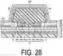 Fig. 29 - Display device with a common function layer separated into a display side and a through-hole side