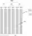 Fig. 07 - Organic light-emitting diode display substrate including an anode layer comprises a common power line provided with vent holes, display panel and display device