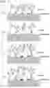 Fig. 05 - SiC epitaxial wafer and method for manufacturing SIC epitaxial wafer