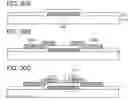 Fig. 31 - Semiconductor device and manufacturing method thereof