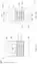 Fig. 18 - Spacer structures for semiconductor devices