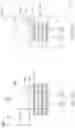 Fig. 26 - Spacer structures for semiconductor devices
