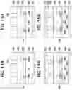 Fig. 13 - Semiconductor device comprising lightly doped drain (LDD) region between channel and drain region