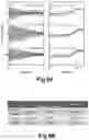 Fig. 09 - AN ADVANCED PROCESSING ELEMENT AND SYSTEM