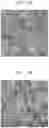 Fig. 03 - Semiconductor nanoparticles, electronic device including the same, and method for manufacturing semiconductor nanoparticles