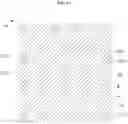 Fig. 06 - Vertical light-emitting diode