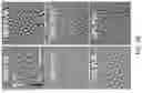 Fig. 08 - Semiconducting polymer blends for high temperature organic electronics