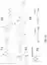 Fig. 19 - Semiconducting polymer blends for high temperature organic electronics