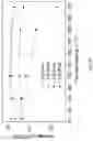 Fig. 20 - Semiconducting polymer blends for high temperature organic electronics