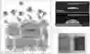 Fig. 01 - Bio-molecular engineering strategy for efficient perovskite materials and devices