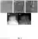 Fig. 06 - Bio-molecular engineering strategy for efficient perovskite materials and devices