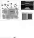 Fig. 08 - Bio-molecular engineering strategy for efficient perovskite materials and devices