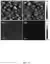 Fig. 13 - Bio-molecular engineering strategy for efficient perovskite materials and devices