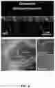 Fig. 25 - Bio-molecular engineering strategy for efficient perovskite materials and devices
