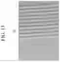 Fig. 16 - Display device including an inorganic pattern positioned in a peripheral area of the substrate