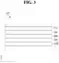 Fig. 04 - COVER WINDOW, DISPLAY DEVICE, AND COVER WINDOW MANUFACTURING METHOD