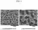 Fig. 05 - Lithium metal anode, method for manufacturing same, and lithium secondary battery using same