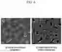 Fig. 07 - Lithium metal anode, method for manufacturing same, and lithium secondary battery using same