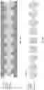 Fig. 09 - METHOD OF IRON ELECTRODE MANUFACTURE AND ARTICLES AND SYSTEMS THEREFROM