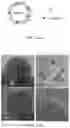 Fig. 09 - POLYMORPHIC LITHIUM-SILICON COMPOUND FOR USE IN PURE SILICON ANODE OF LITHIUM-ION BATTERY AND USE THEREOF