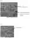 Fig. 03 - CARBON ELECTRODE MATERIAL AND REDOX BATTERY