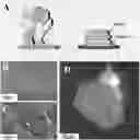 Fig. 01 - Conducting coatings for anodes, methods of making and using same, and uses thereof