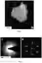 Fig. 07 - Conducting coatings for anodes, methods of making and using same, and uses thereof