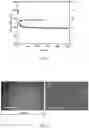 Fig. 09 - Conducting coatings for anodes, methods of making and using same, and uses thereof