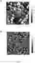 Fig. 16 - Conducting coatings for anodes, methods of making and using same, and uses thereof
